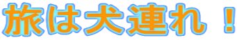 ͌AI