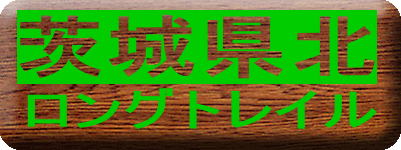 QSR