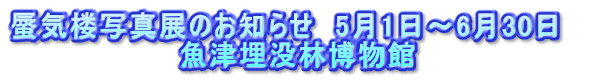 蜃気楼写真展のお知らせ　5月1日～6月30日　 魚津埋没林博物館
