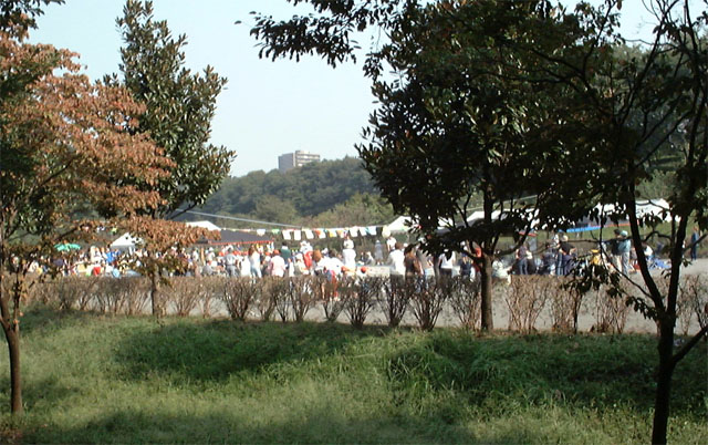 都会の運動会