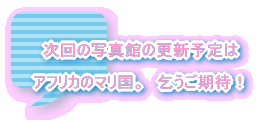 XV@UQR ̍XVy݂ɁB