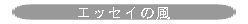 GbZC̕