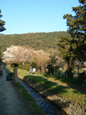 vȍa