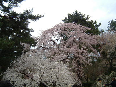 䏊̍