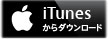 iTunes DLアイコン.jpg