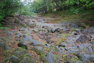溶岩流跡