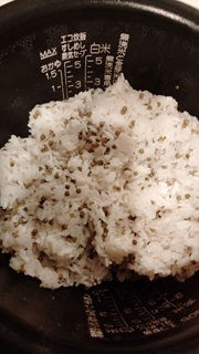 カラスノエンドウごはん