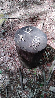 立夏