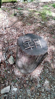 皐月