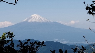 富士