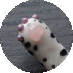 Snow Leopard front paw