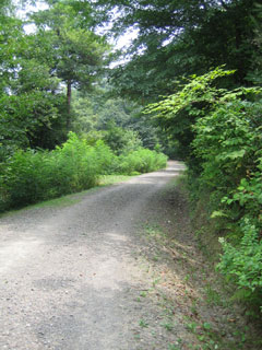 うとう峠