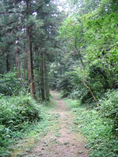 うとう峠