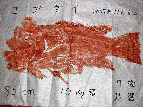 小田原〜真鶴で釣れたカサゴの釣り・釣果情報 - アングラーズ