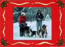 Buster(big black dog)  Maggie(poodle)  Annie(bloodhound)  basset left to right Maestro  Cosmo Romeo  Henry 1