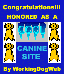 CANINE SITE
