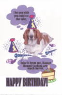 I bet you wish you could eat that cake      Take it from,Basset Hound Cookies are much better.