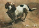 Basset Hound Painted in 1889 by Mary P. Godsall.