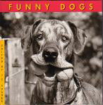 FUNNY DOOGS