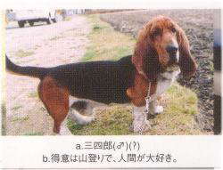 OlYB
