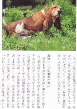 wƕ炻x@