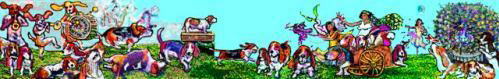 The Novato 4th of July Parade-the Basset contingent