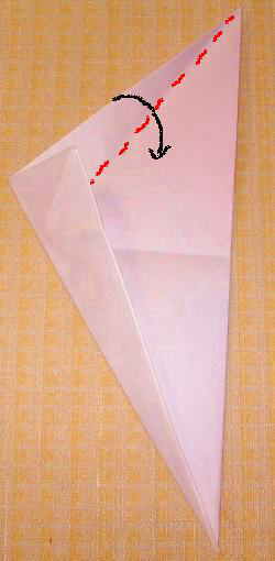 origami25