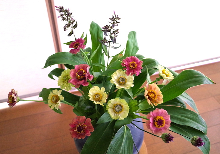待合室の花