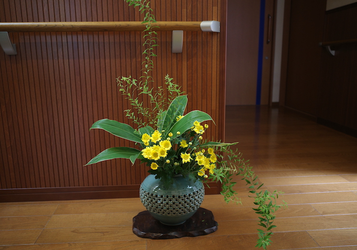 黄色い菊の生け花