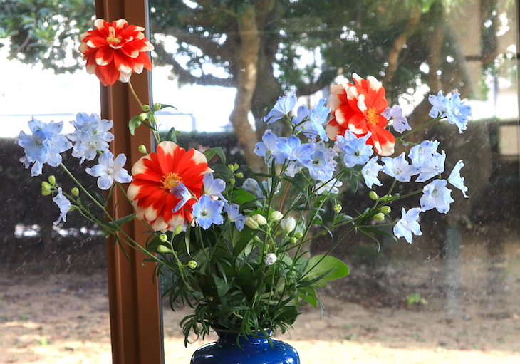 赤と青の生け花