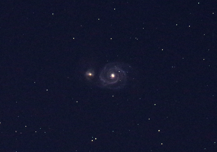 M51