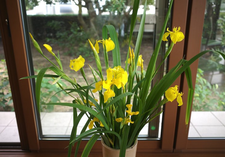 黄色い花の生け花