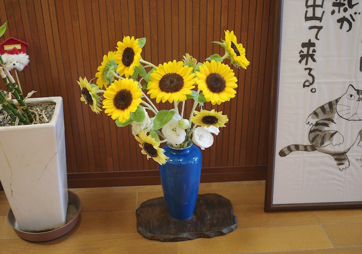 ひまわりの花