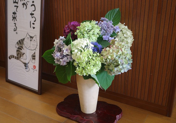 紫陽花の花