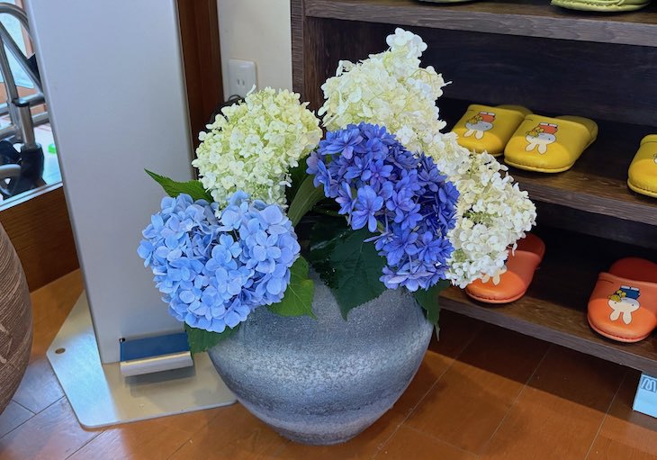 紫陽花