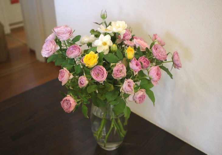 薔薇の花