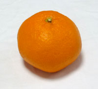 出水 米ノ津 福三みかん販売