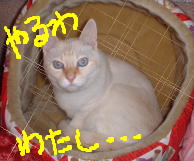 ܂z
