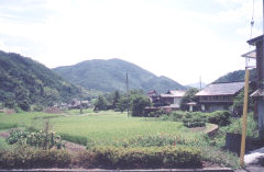 c_014.jpg