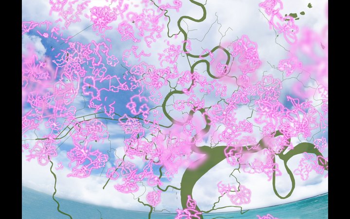 「ついにハツシバ桜は満開になった」