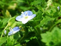 �I�I�C�k�t�O��