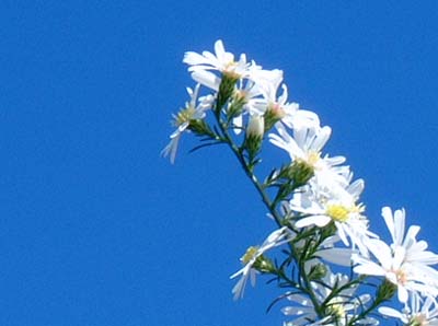 �������e