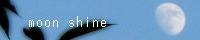 moon shine