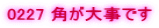 0227 �p���厖�ł�