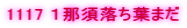 1117 �P�ߐ{�����t�܂�