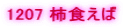 1207 �`�H����