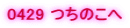 0429 ���̂���