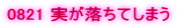 0821 ���������Ă��܂�