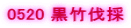 0520 ���|����