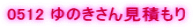 0512 ��̂����񌩐ς���